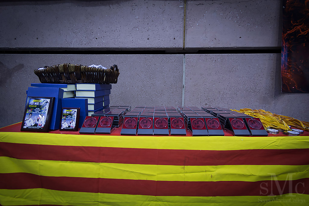 OPEN BARCELONA FUJI MAE CUP 2017_DSC8287_0006.JPG